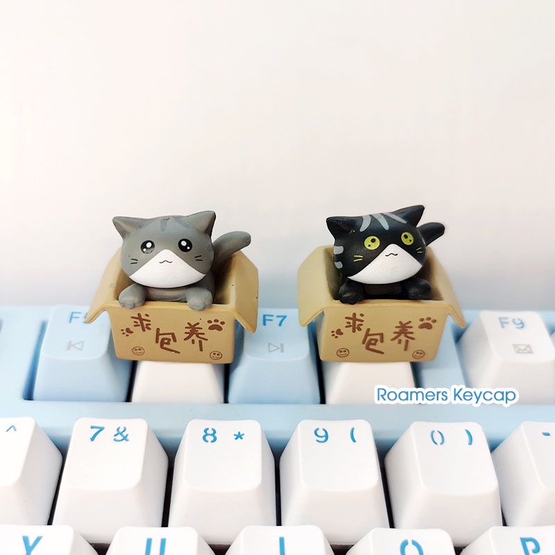 Keycap lẻ mèo giận hờn ngầu R4 PBT (0010_CH)