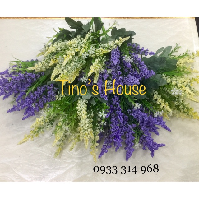 Chùm Hoa Lavender - Loài Thảo dược Tình Yêu, Tượng Trưng Cho Sự Chung Thuỷ.