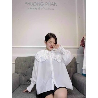 sơ mi cổ sen