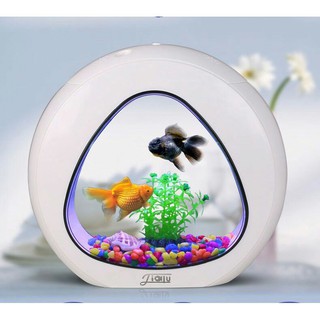 Tiểu cảnh bể cá mini để bàn đẹp mãi