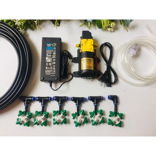 Bộ tưới lan 6 béc 4 hướng