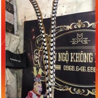 ( CÓ SẴN ) Lông Trĩ Tôn Ngộ Không 160cm