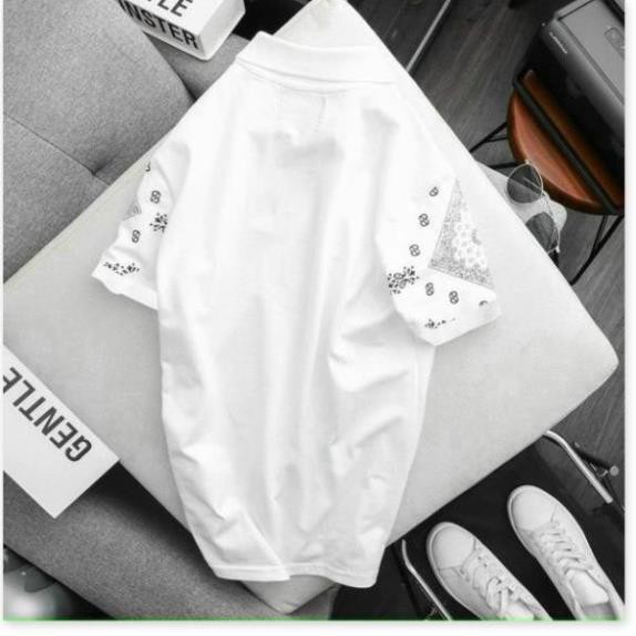 Áo thun nam con Gấu trẻ trung Dễ thương Hình thêu siêu phẩm việt KMG