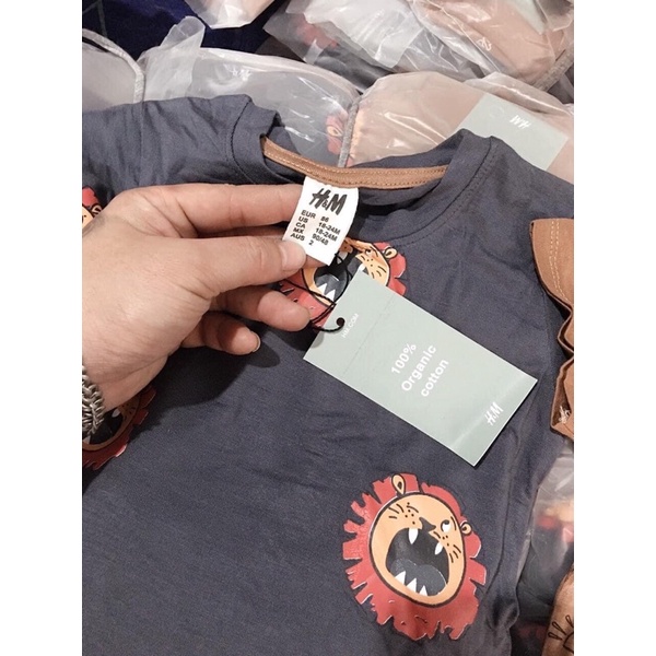 Set 2 bộ HM bé trai chất cotton 4c