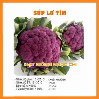 Hạt Giống Súp Lơ Tím (Hạt Giống Ngọc Chi) - 0.2Gr