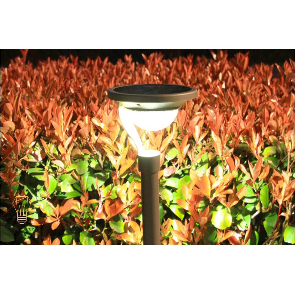 Đèn LED Sân Vườn Cắm Cỏ Energy Green Lighting MT-42515 - Sử Dụng Năng Lượng Mặt Trời - Thân Bọc Thép Không Gỉ
