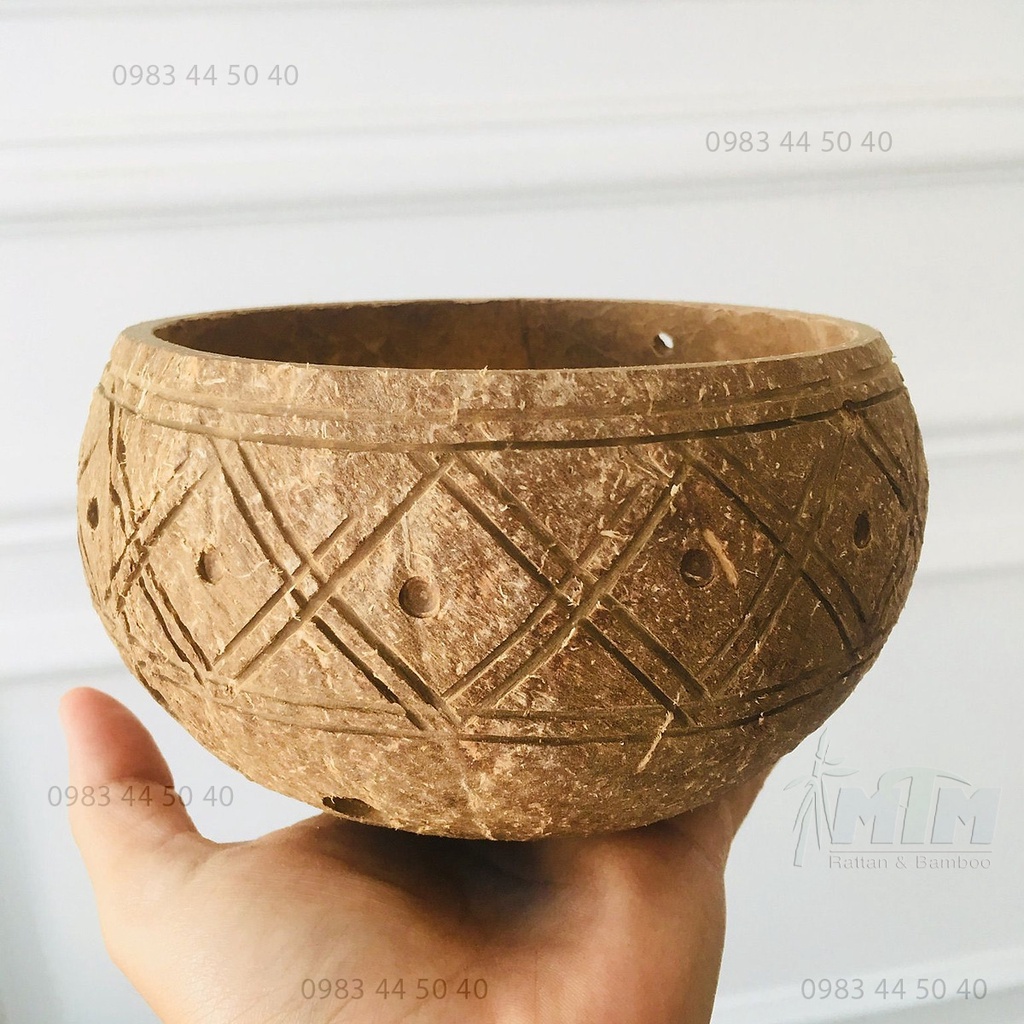 Bát gáo dừa hoạ tiết l chậu dừa trồng cây trang trí sân vườn, tiểu cảnh.