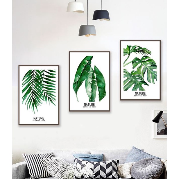 Set 3 tranh Decor trang trí tường Lá Xanh, Cây nhiệt đới Bắc Âu siêu độc