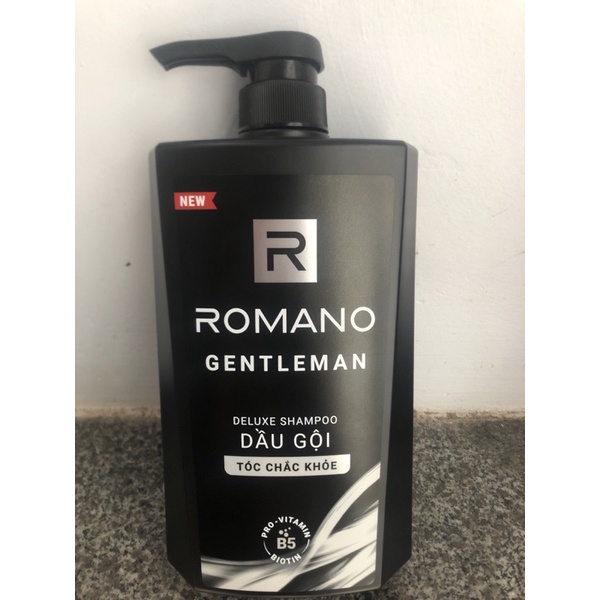 Dầu Gội Cao Cấp Cho Nam Romano 650g các loại