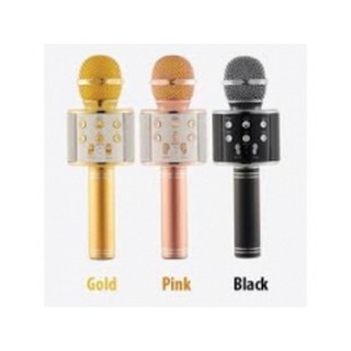 Mic karaoke ws 858 kèm loa
