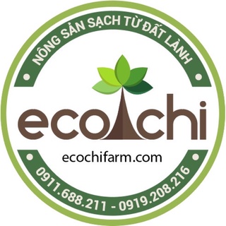 CHANH SẤY ORGANIC