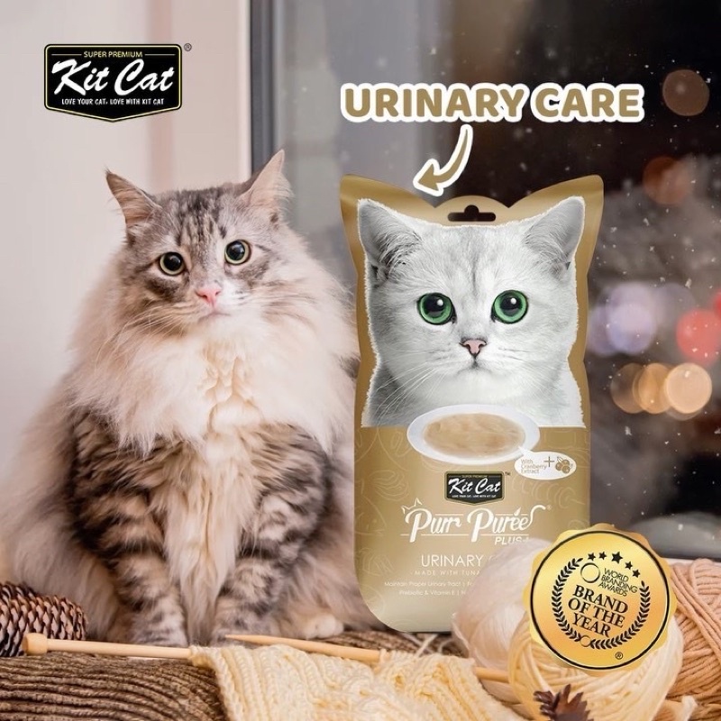 Súp thưởng hỗ trợ chức năng Kitcat Purr Puree Plus+ cao cấp cho mèo