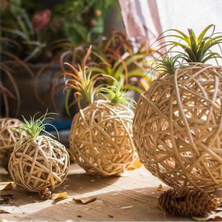 Xưởng sx- Quả cầu mây D12cm trang trí decor - Tre VN