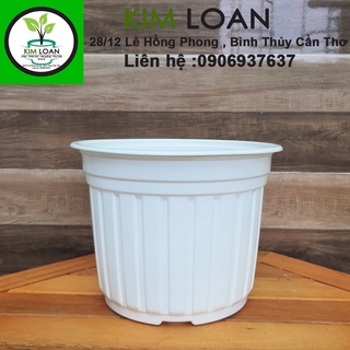 Combo 20 chậu vành cứng C5 20x15cm