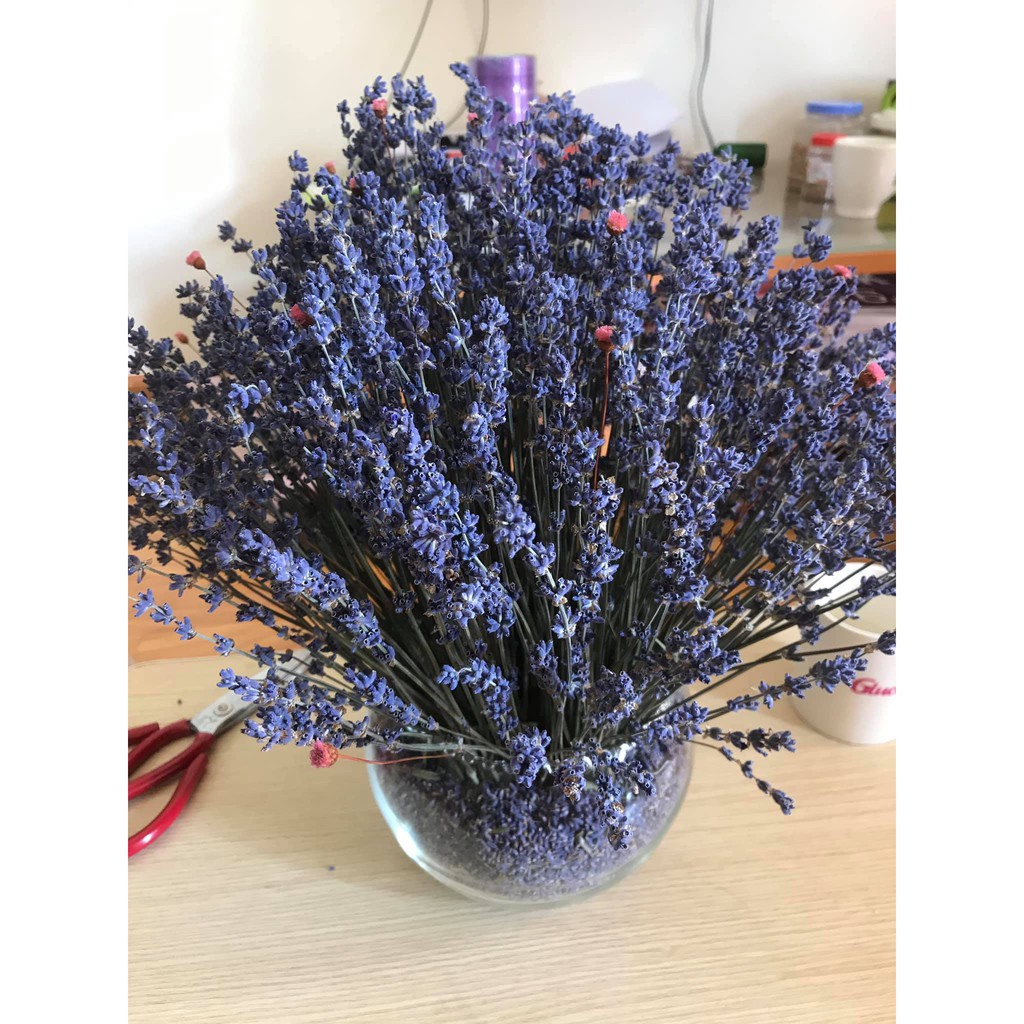 Bó hoa Oải Hương - Lavender khô 100g