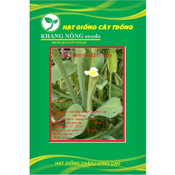 Hạt giống rau kèo nèo (rau tai tượng) KNS3707 - Gói 0.1gram