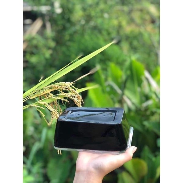 THẠCH ĐEN CAO BẰNG SIÊU BÉO DẺO DAI 2 Lít/100G