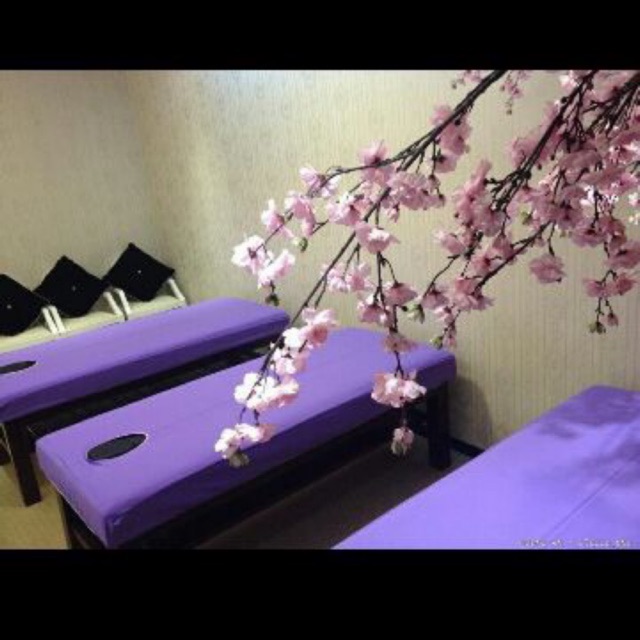 Ga/Drap bọc đệm (không trùm chân) cho spa, nhà nghỉ, khách sạn, bệnh viện....