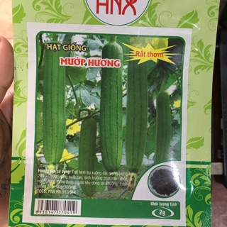 Hạt giống mướp hương rất thơm và ngọt