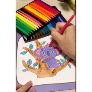 Màu hữu cơ sáp tự nhiên 12 bút và 24 bút tự nhiên không nem tay an toàn với trẻ nhỏ