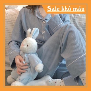 Bộ đồ ngủ pijama dài tay màu baby blue