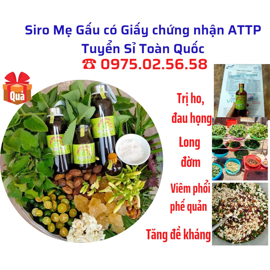 (Mua 1 tặng 2) 500ml Siro Ho Húng Chanh Bổ Phế Long Đờm Tăng Đề Kháng ( có kiểm nghiệm ATTP)