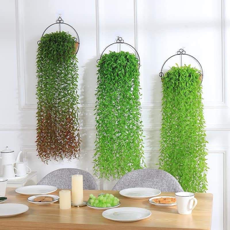 Dây Cúc Tân Ấn Độ Giả Dài 100cm một cụm 5 nhánh Trang trí Decor siêu đẹp
