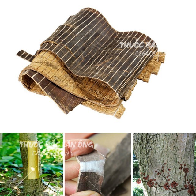 Đỗ Trọng Bắc 100g