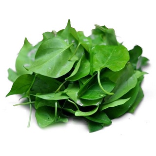 Hạt giống Lá Giang - Chumon - Vón vén