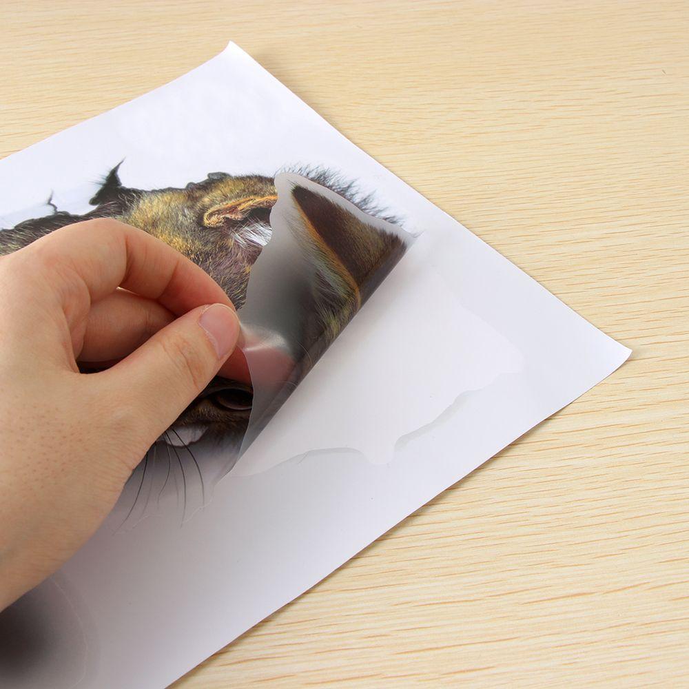 Bộ 3 Miếng Dán 3D Họa Tiết Hoạt Hình Động Vật Độc Đáo Trang Trí Tủ Lạnh