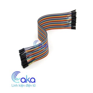 LKDT Dây cắm test bo 20CM 40 Sợi