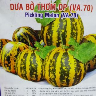 Hạt giống dưa bở