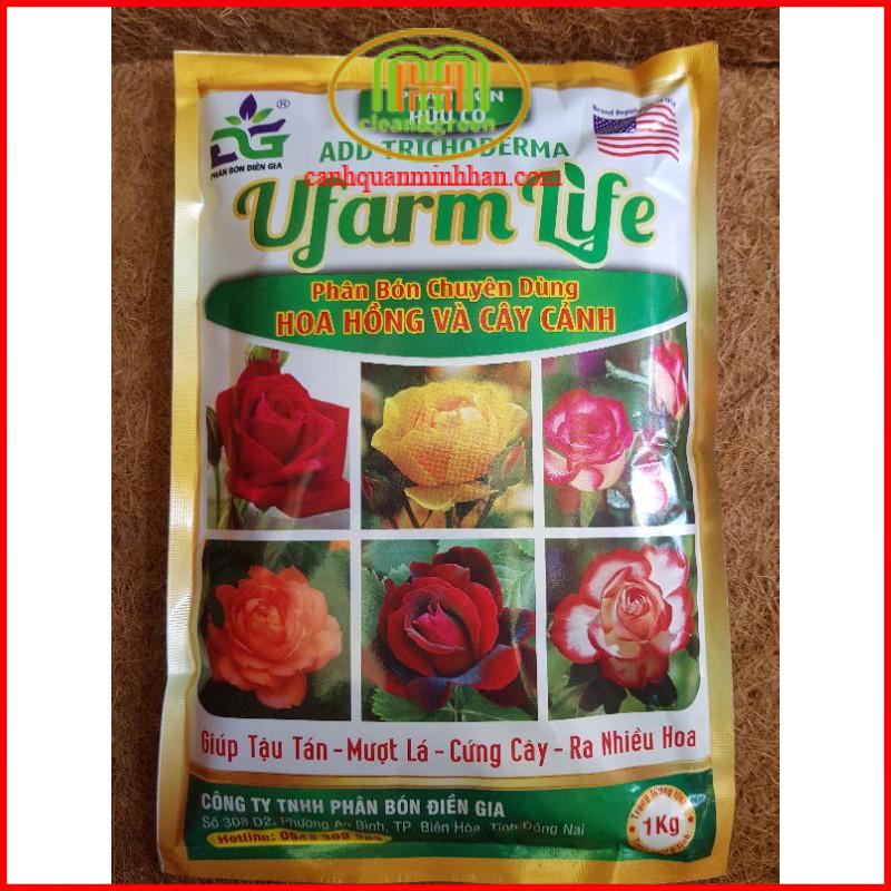 Phân bón hoa hồng nhiều hoa 1kg mượt lá, tậu tán, cứng cây, ra nhiều hoa