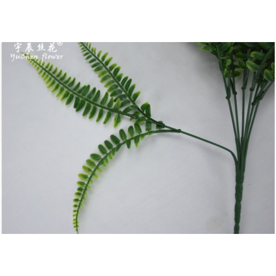 Cây dương xỉ Ba Tư giả tán rộng phù hợp decor trong và ngoại nội thất cao