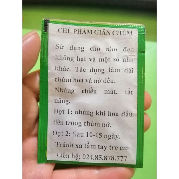 CHẾ PHẨM GIÃN CHÙM NHO ĐEN KHÔNG HẠT