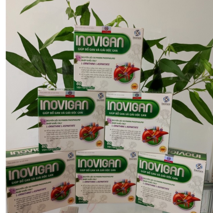 INOVIGAN-Viên uống giúp bổ gan và giải độc gan