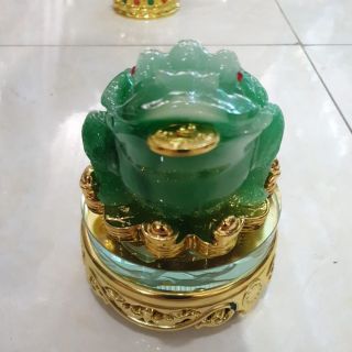 Cóc thiềm thừ màu xanh