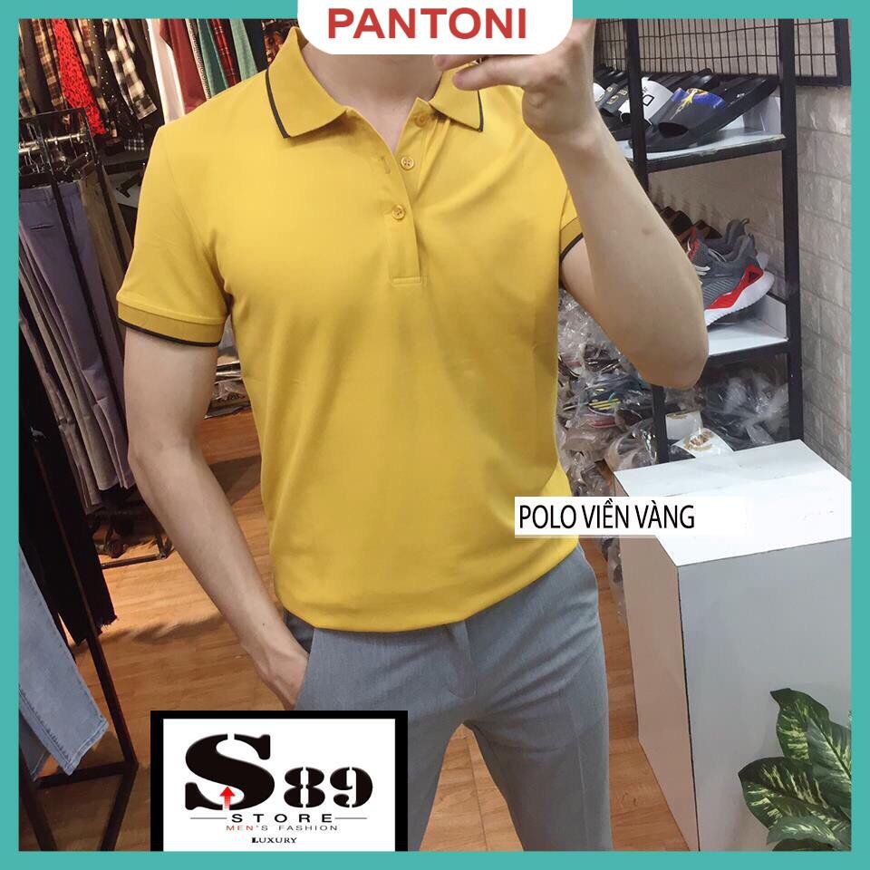 Áo phông nam ngắn tay cổ bẻ dáng slimfit, chuẩn thiết kế hàn quốc, cực tôn dáng, lịch sự, trẻ trung(APKV) | BigBuy360 - bigbuy360.vn