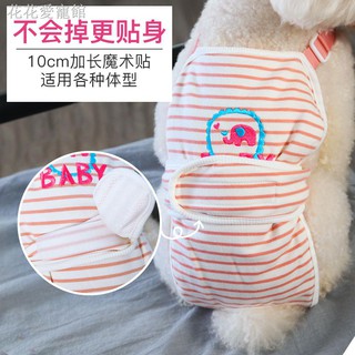 Quần Lót Sinh Lý Cho Thú Cưng