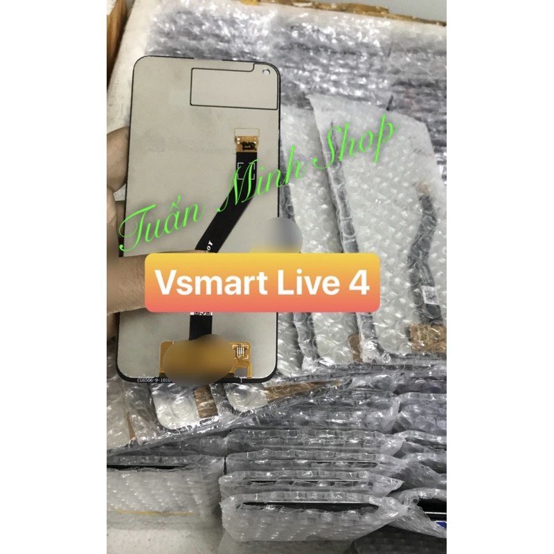 Màn hình Vsmart Live 4/ V640