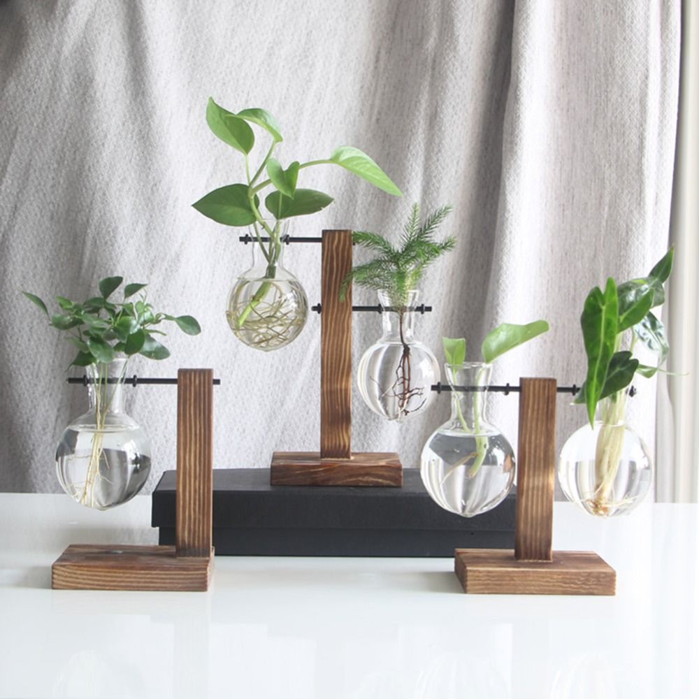 Chậu kính trồng cây thủy canh kèm khung gỗ phong cách cổ điển độc đáo trang trí nhà cửa