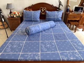 Drap cotton hàn quốc