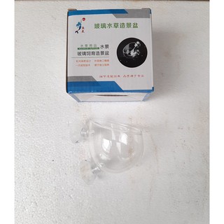 Phụ kiện bể cá: Cốc thủy tinh trồng cây