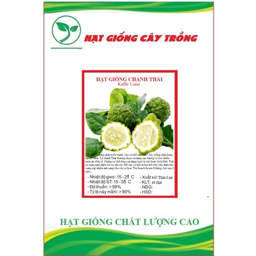 Hạt giống chanh Thái, chanh chúc, chanh bưởi Thái - 10 hạt - KN