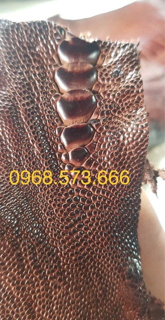 Dây đồng hồ vảy chân đà điểu size 20-18