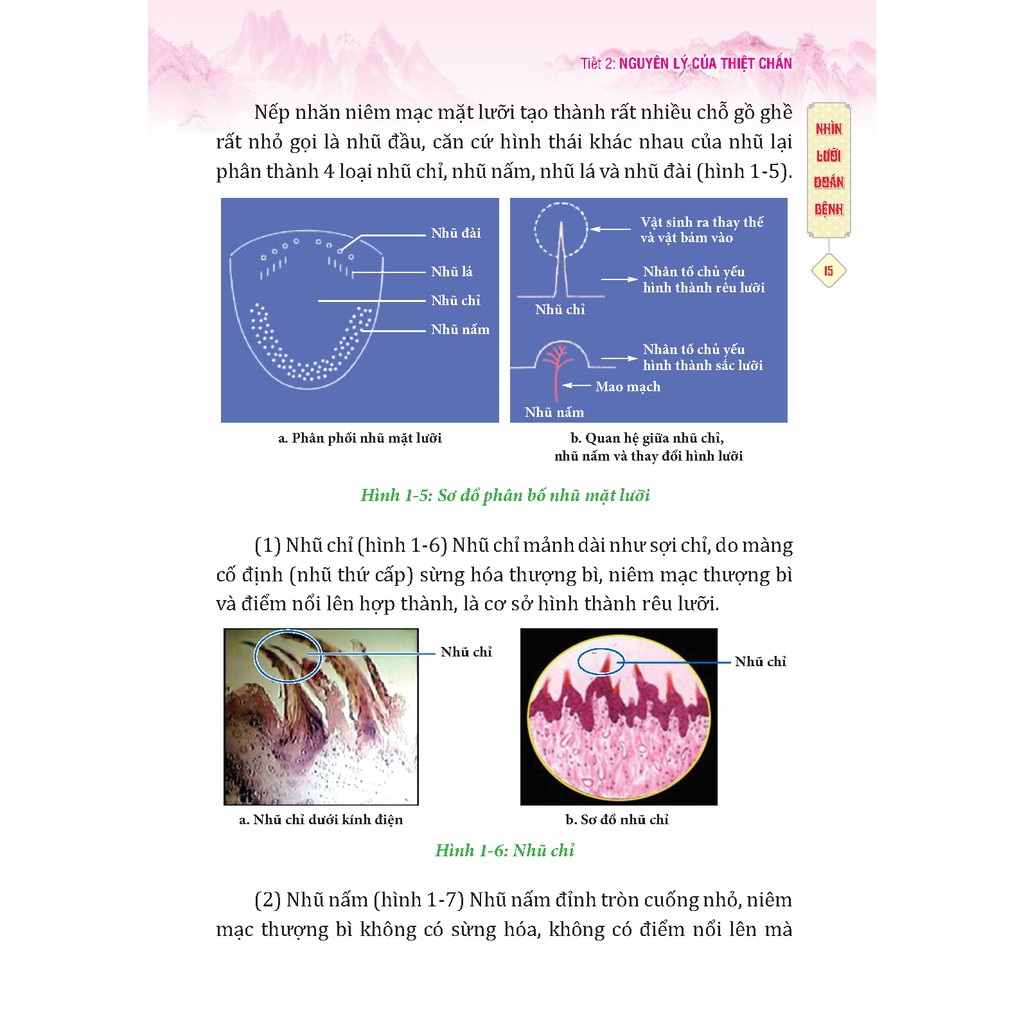 Sách - Đông y thiệt chuẩn (bìa mềm)+ Tặng sổ tay