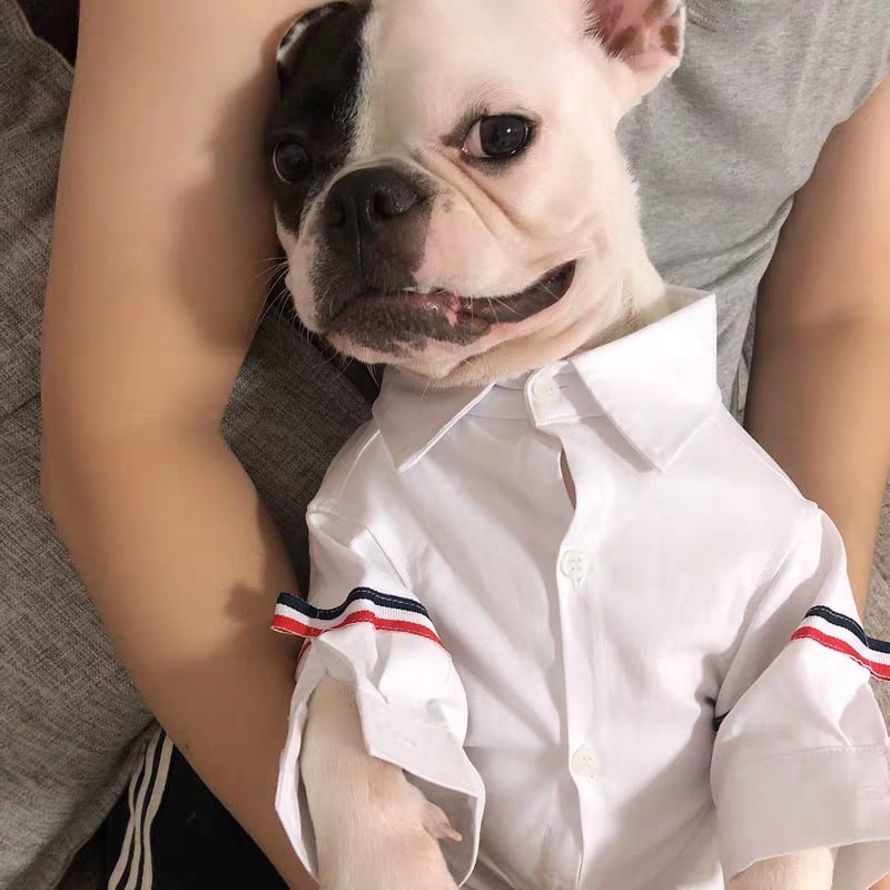 Áo sơ mi Thome Browne