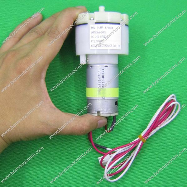 Máy Bơm Sục Khí 6V 12V 24V