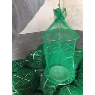 Lồng bẫy ruồi đơn giản hiệu quả cao 88035 siêu thị tiện ich 88