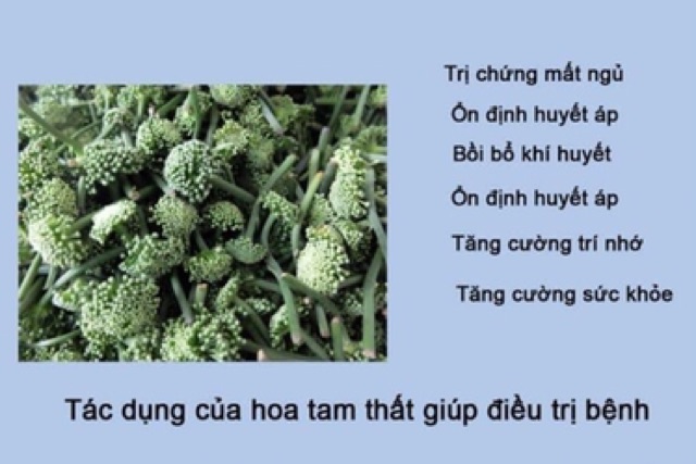 [SALE] Nụ hoa tam thất 500g chuẩn xịn nhất